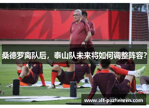 桑德罗离队后,泰山队未来将如何调整阵容? 桑德罗离队后,泰山队未来将如何调整阵容?