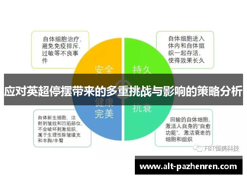 应对英超停摆带来的多重挑战与影响的策略分析 应对英超停摆带来的多重挑战与影响的策略分析