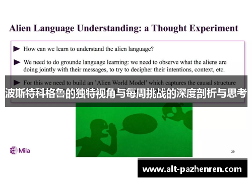 波斯特科格鲁的独特视角与每周挑战的深度剖析与思考