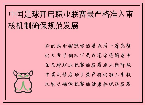 中国足球开启职业联赛最严格准入审核机制确保规范发展